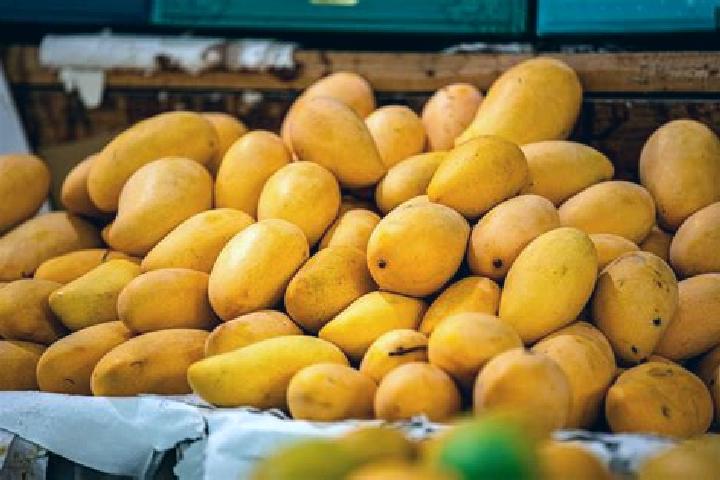 Iris, 25 — Escort in Plan de los Mangos, Mexico