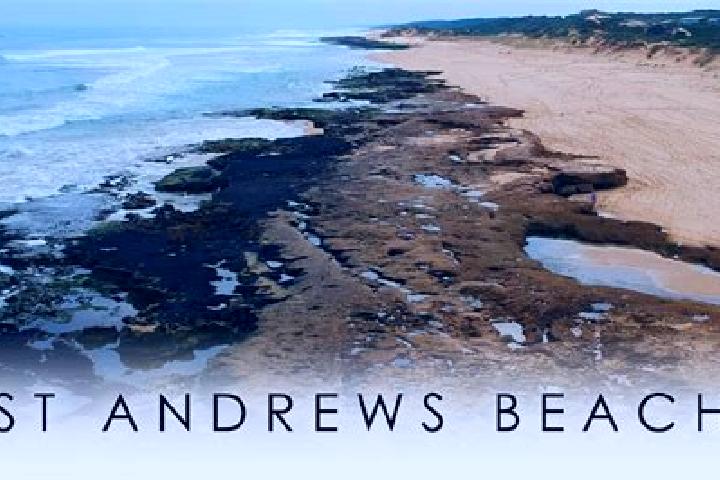 Iris, 25 — Escort in Saint Andrews Beach, Australia