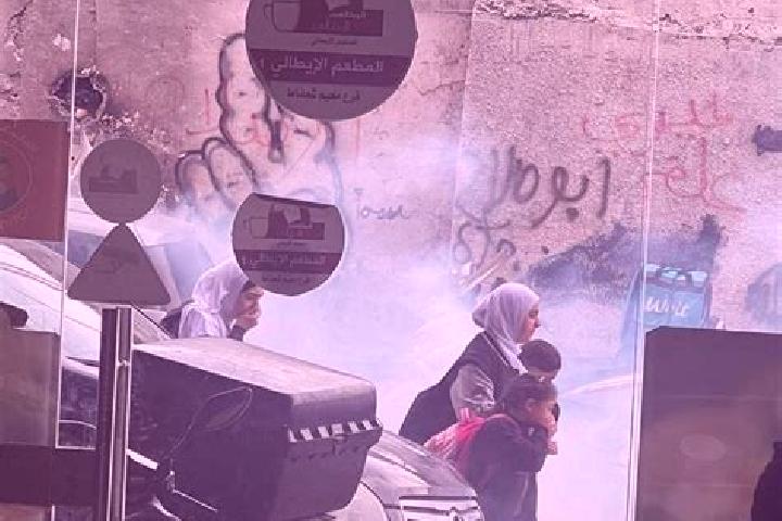 Iris, 25 — Escort in Shu fat, Palestine
