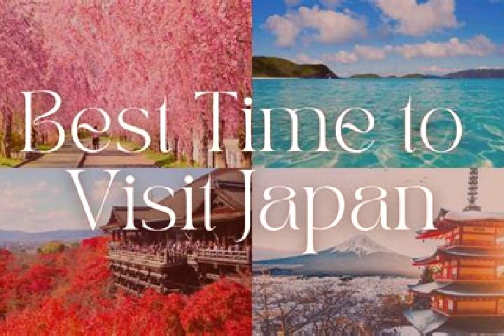 Iris, 25 — Escort in Yashiro, Japan
