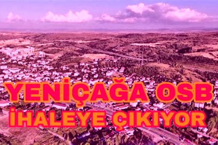 Iris, 25 — Escort in Yenicaga, Turkey