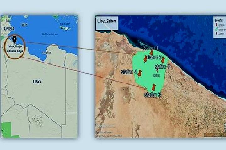 Iris, 25 — Escort in Zaltan, Libya