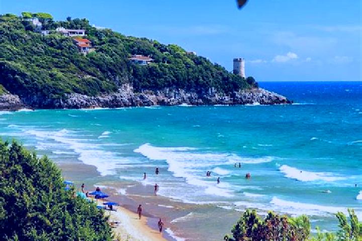 Iris, 26, a red blue-eyed ebony companion based in Lido di Tarquinia. Offering Duos, Prostate Massage, BDSM, Travel Companion, Massage. Available for incall ...