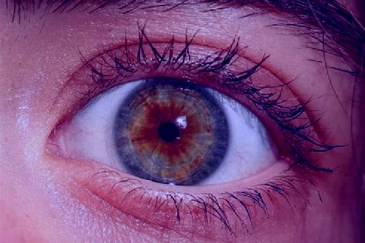 Iris, 26, a red hazel-eyed mediterranean companion based in Mato Castelhano. Offering Party Girl, Massage, Fetish. Available for incall and outcall, overnigh...