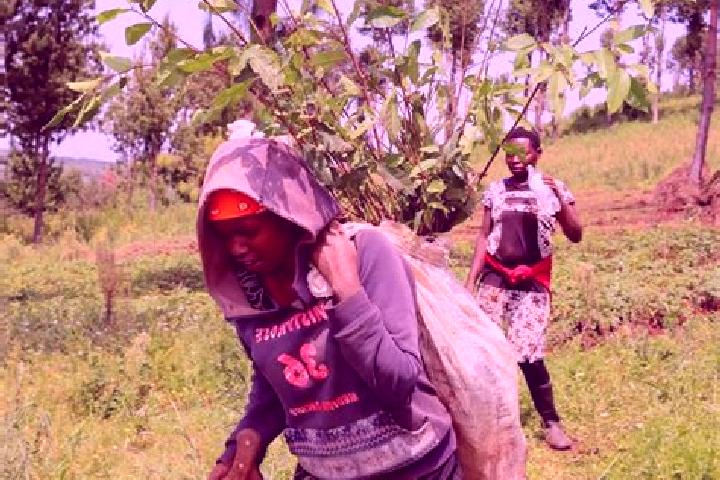 Iris, 26 — Escort in Dundori, Kenya