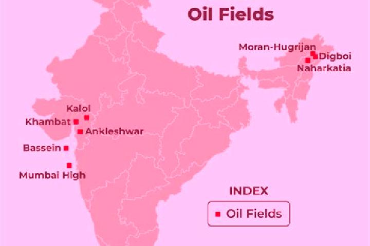 Iris, 26 — Escort in Koyali, India