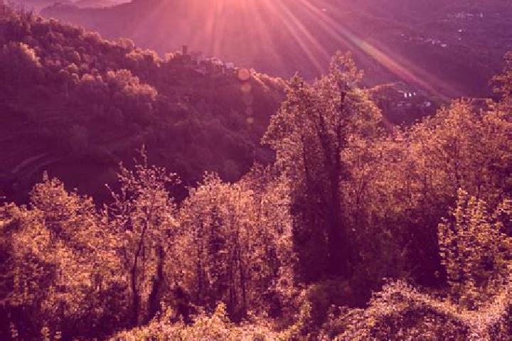 Iris, 26 — Escort in Ponte A Elsa, Italy