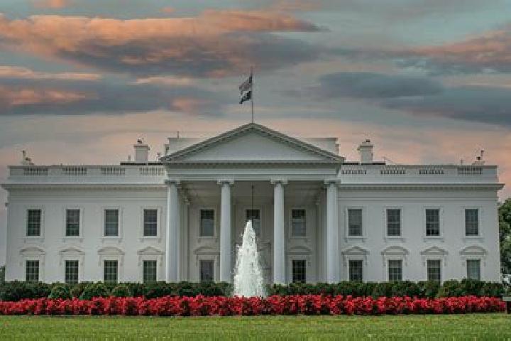 Iris, 26 — Escort in White House, United States