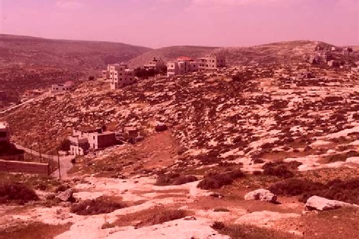Iris, 27 — Escort in Mikhmas, Palestine