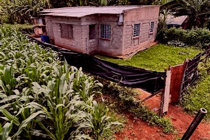 Iris, 27 — Escort in Othaya, Kenya
