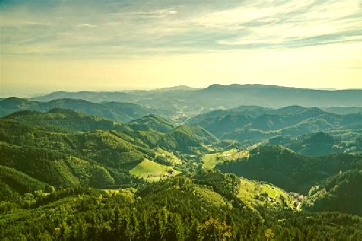 Iris, 27 — Escort in Ottenhofen im Schwarzwald, Germany