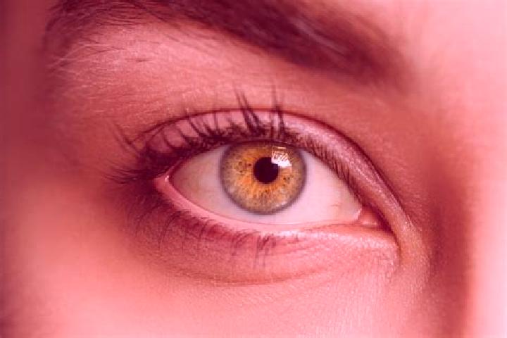 Iris, 28, a chestnut hazel-eyed mixed companion based in Poco de Jose de Moura. Offering OWO, Prostate Massage, Massage, Dinner Date. Available for incall an...