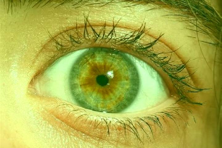 Iris, 28, a red hazel-eyed european companion based in La Nava de Santiago. Offering A-Level, OWO, Roleplay, CIM. Available for incall and outcall, day and e...