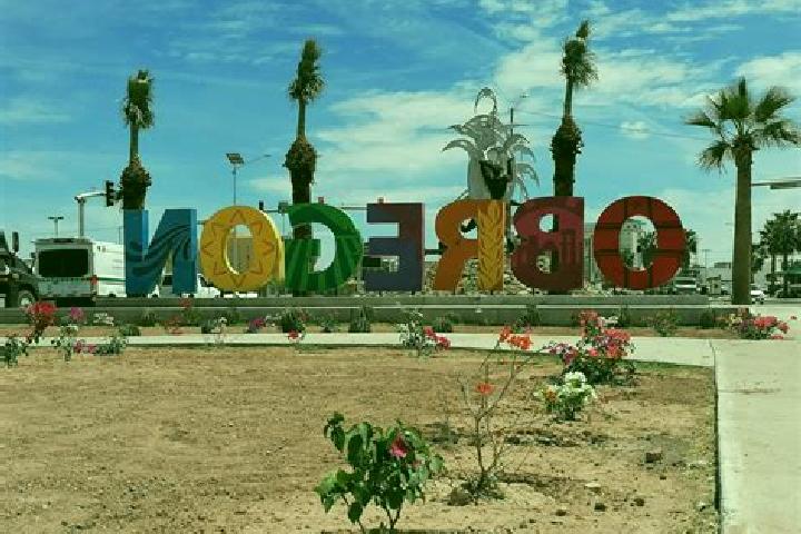 Iris, 28 — Escort in Cristobal Obregon, Mexico