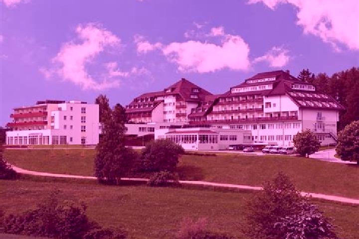 Iris, 28 — Escort in Gansingen, Switzerland