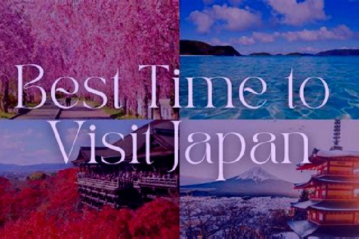 Iris, 28 — Escort in Menuma, Japan