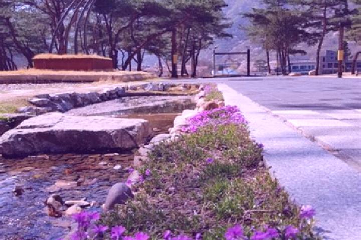 Iris, 28 — Escort in Mungyeong, South Korea