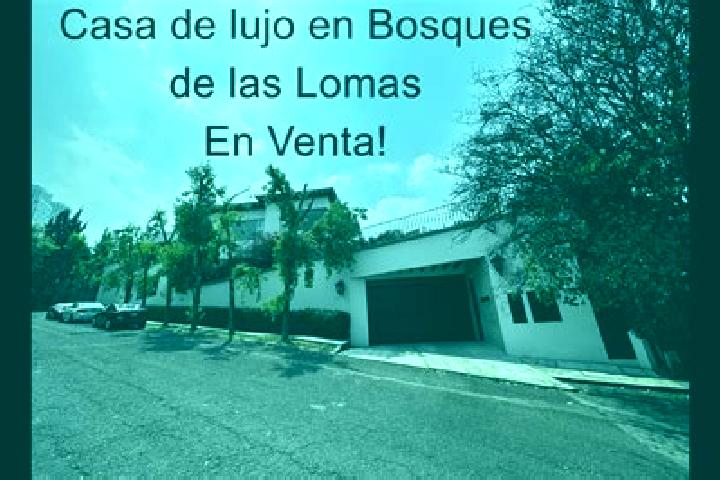 Iris, 28 — Escort in San Jose las Lomas, Mexico