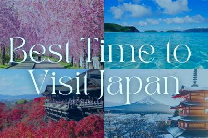 Iris, 28 — Escort in Shimonita, Japan