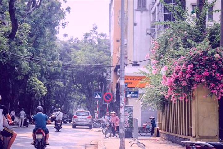 Iris, 29 — Escort in Cau Giat, Vietnam