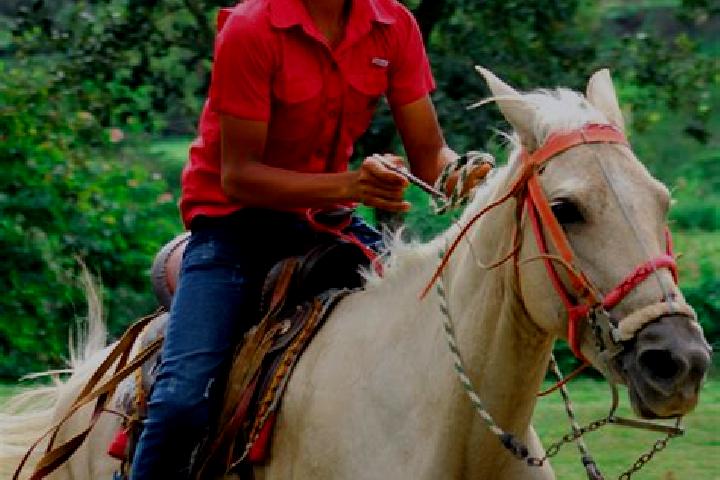 Iris, 30 — Escort in Guaimaca, Honduras