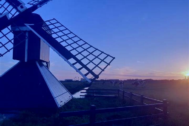 Iris, 30 — Escort in Zuidschermer, Netherlands