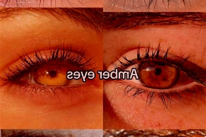Iris, 31, a chestnut amber-eyed ebony companion based in Terento. Offering 69, Travel Companion. Available for incall and outcall, day and evening dates.