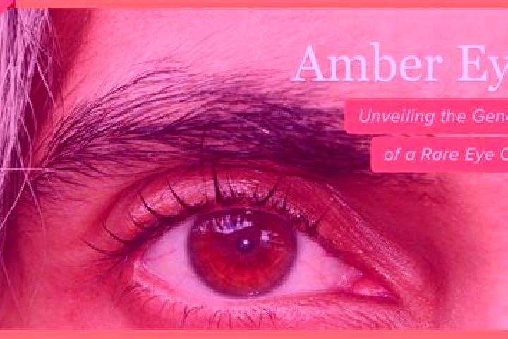 Iris, 31, a red amber-eyed asian companion based in Cornella de Llobregat. Offering Striptease, Girlfriend Experience, Travel Companion, Domination. Availabl...