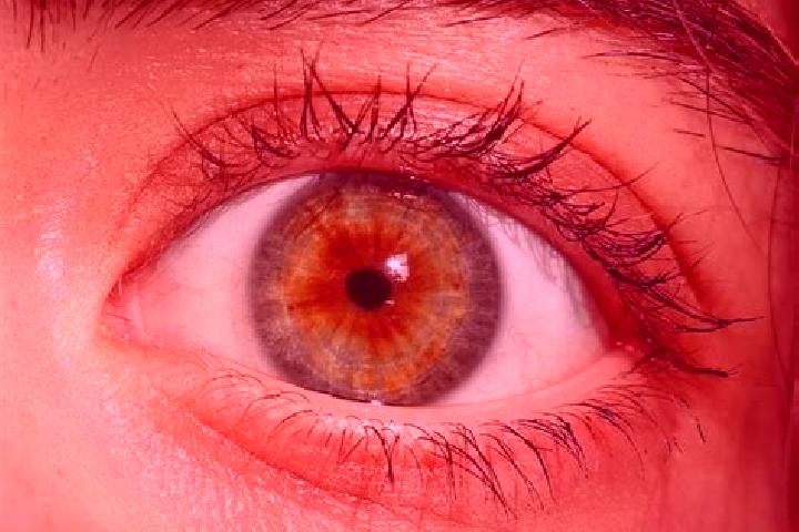 Iris, 31, a red hazel-eyed european companion based in San Pedro. Offering Girlfriend Experience, A-Level, 69, Prostate Massage. Available for incall and out...