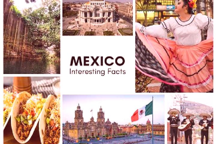 Iris, 31 — Escort in Acalman, Mexico