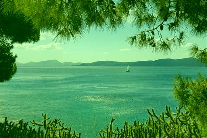 Iris, 31 — Escort in Agia, Greece