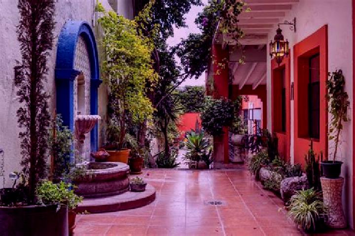 Iris, 31 — Escort in Puntilla Aldama, Mexico