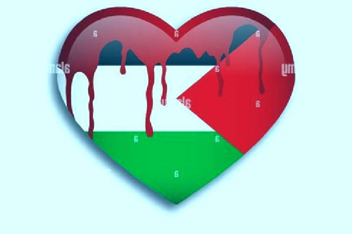 Iris, 31 — Escort in Saffa, Palestine