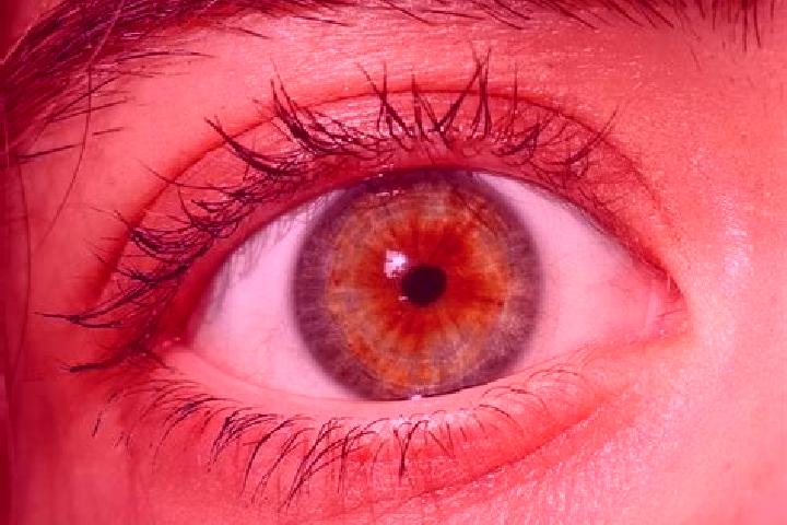 Iris, 32, a red hazel-eyed caribbean companion based in Palmares Paulista. Offering Striptease, Domination, Duos, Tantra. Available for incall and outcall, o...