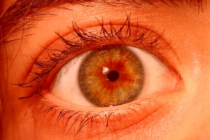 Iris, 32, a red hazel-eyed middle eastern companion based in Coshocton. Offering CIM, OWO, Overnight, Couples. Available for incall and outcall, overnight bo...