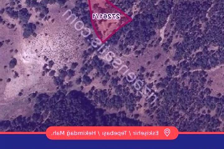Iris, 32 — Escort in Hekimdag, Turkey