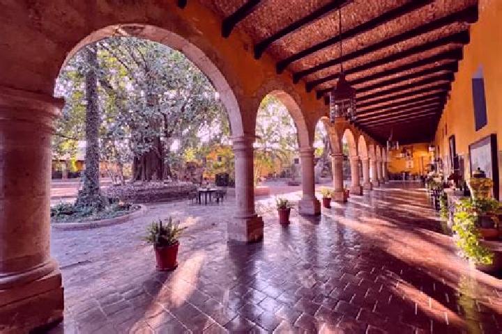 Iris, 32 — Escort in La Merced, Mexico