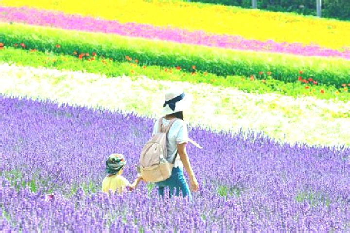 Iris, 32 — Escort in Shimo-furano, Japan