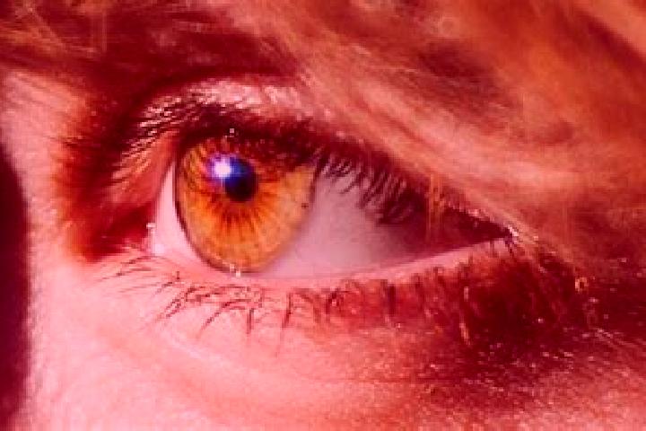 Iris, 33, a red amber-eyed caucasian companion based in Cigina. Offering GFE, Girlfriend Experience, A-Level. Available for incall and outcall, day and eveni...