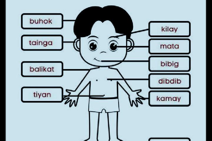 Iris, 33 — Escort in Ballik, Turkey