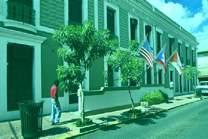 Iris, 33 — Escort in Cayey, Puerto Rico