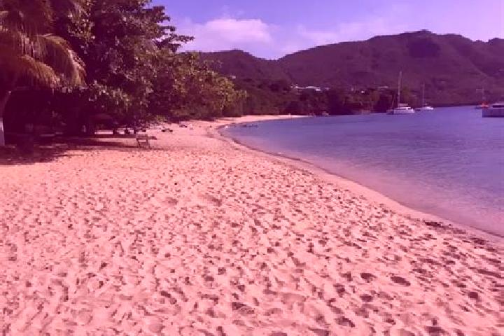 Iris, 33 — Escort in Dovers, Saint Vincent and the Grenadines