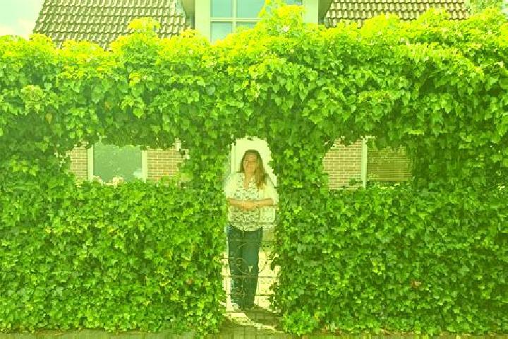 Iris, 33 — Escort in Opperdoes, Netherlands