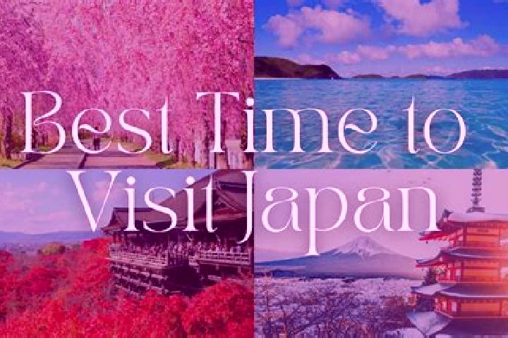 Iris, 33 — Escort in Tomamae, Japan
