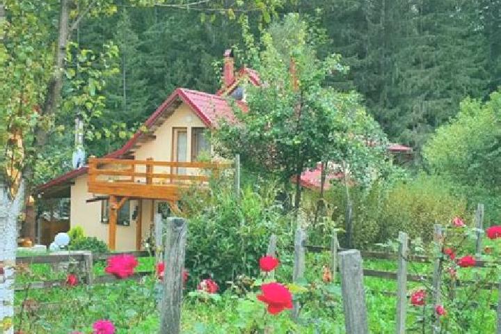 Iris, 34 — Escort in Campu lui Neag, Romania