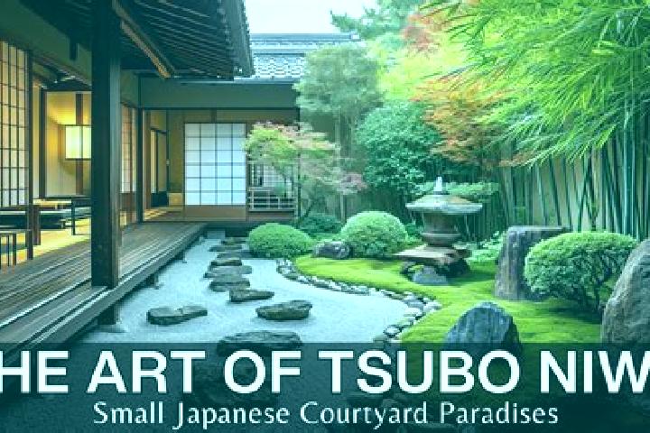 Iris, 34 — Escort in Fukutsu, Japan