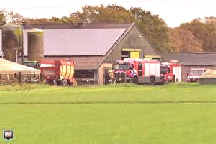 Iris, 34 — Escort in Leveroy, Netherlands