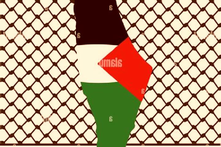 Iris, 34 — Escort in Shufah, Palestine