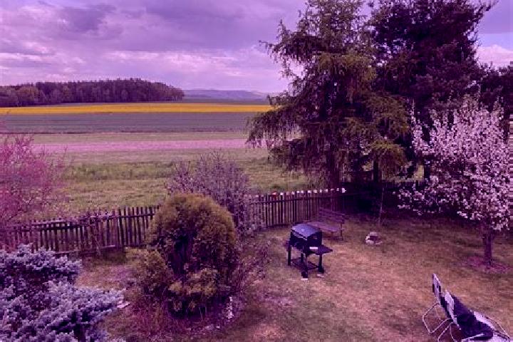 Iris, 34 — Escort in Slabce, Czech Republic