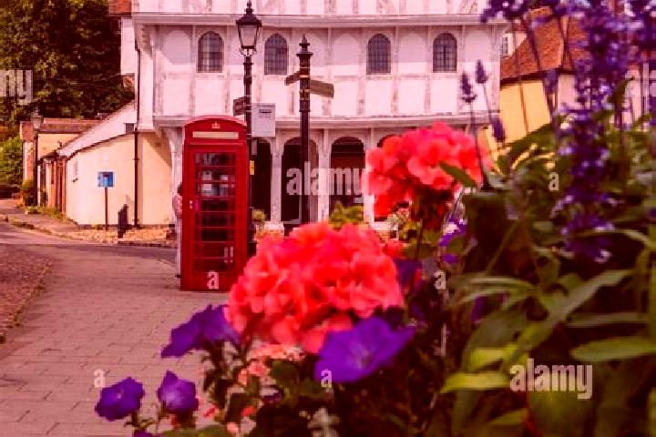 Iris, 34 — Escort in Thaxted, United Kingdom